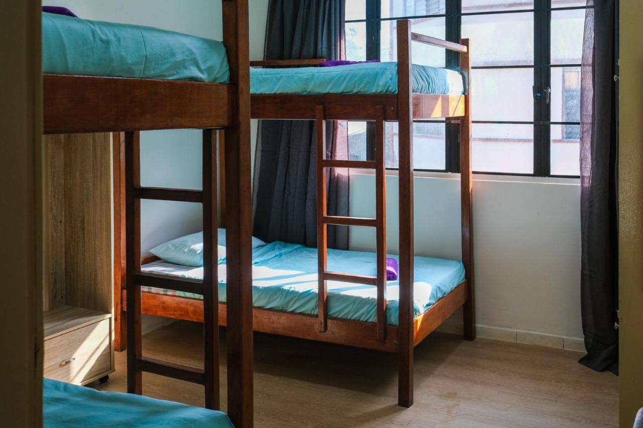 קוטה קינבלו Step-In Lodge מראה חיצוני תמונה